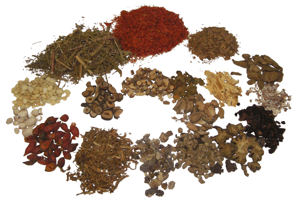 Dit Da Herbs Northern Shaolin